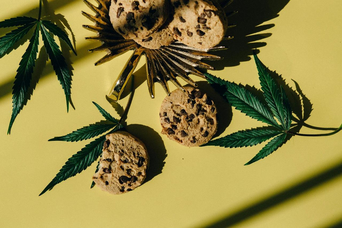 Edibles selber machen – Dein ultimativer Guide für geniale Cannabis-Snacks in 2025 - Happy Flower