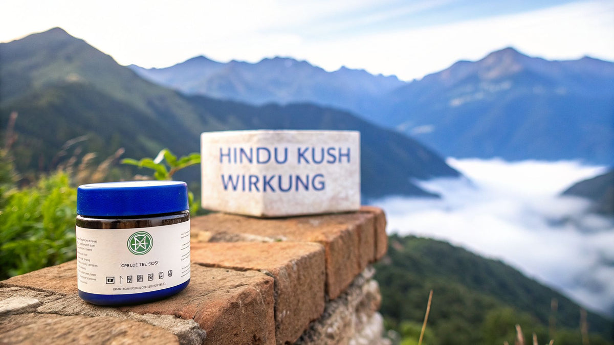 Hindu Kush Wirkung einfach erklärt für pure Entspannung