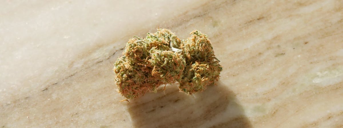 CBG-9 Cannabis Blüten kaufen Deutschland 2026