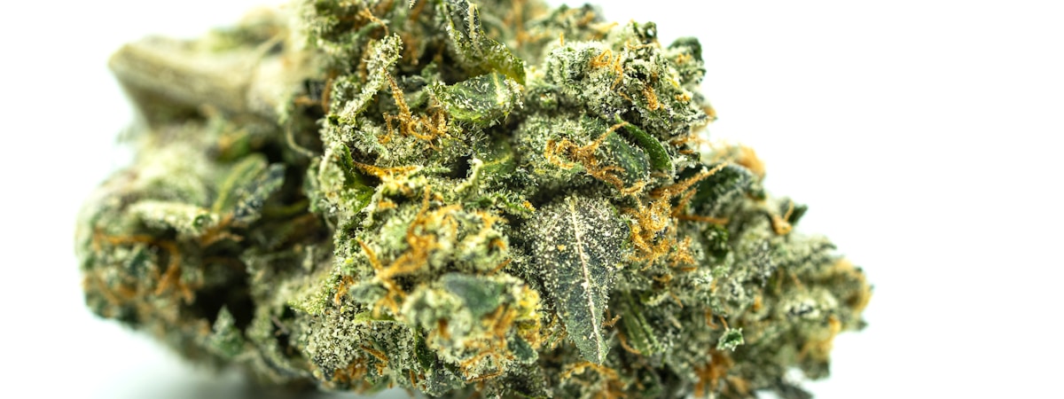 Legale Cannabinoide im Vergleich 2026 – 9H-HHC, PHC, CBG-9, THCA, CBD und CBN Blüten