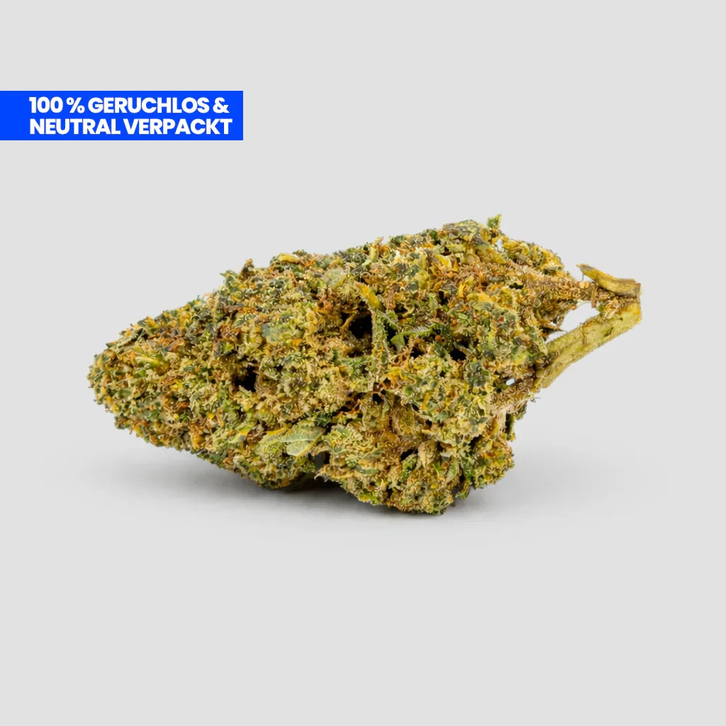 Blueberry CBD 25 % Blüte