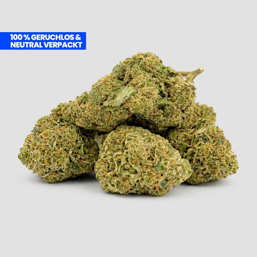 Mimosa CBD 35% Blüten