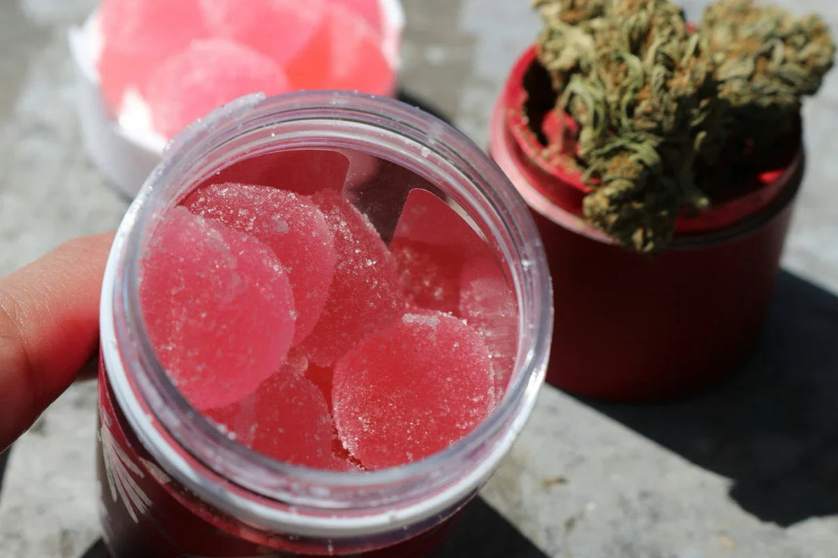 Cannabis kochen – Rezepte für Edibles zum Selbermachen 2025 mit Tipps zu Wirkung, Dosierung, Aroma und rechtlichen Aspekten