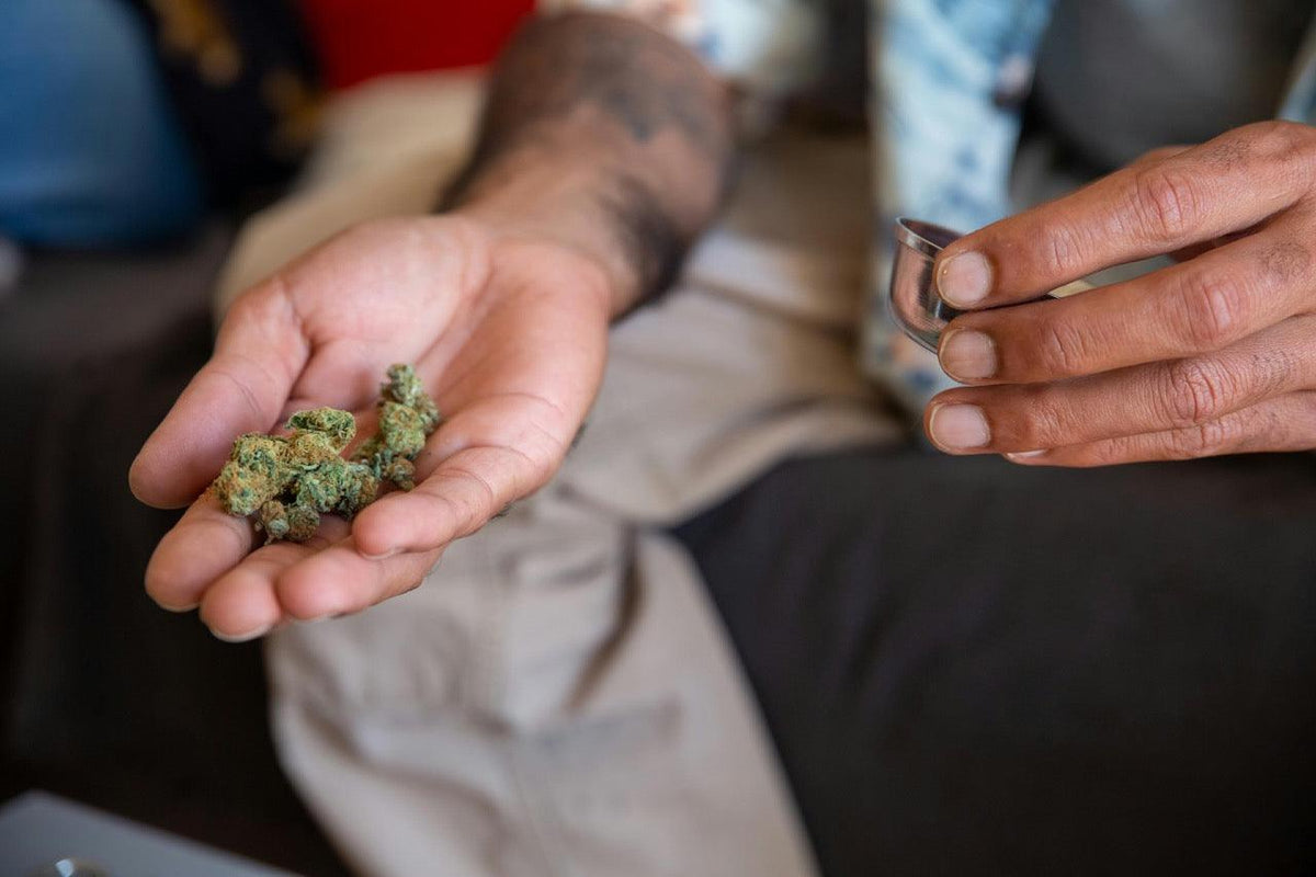 Woran erkennt man qualitatives Cannabis? - Happy Flower