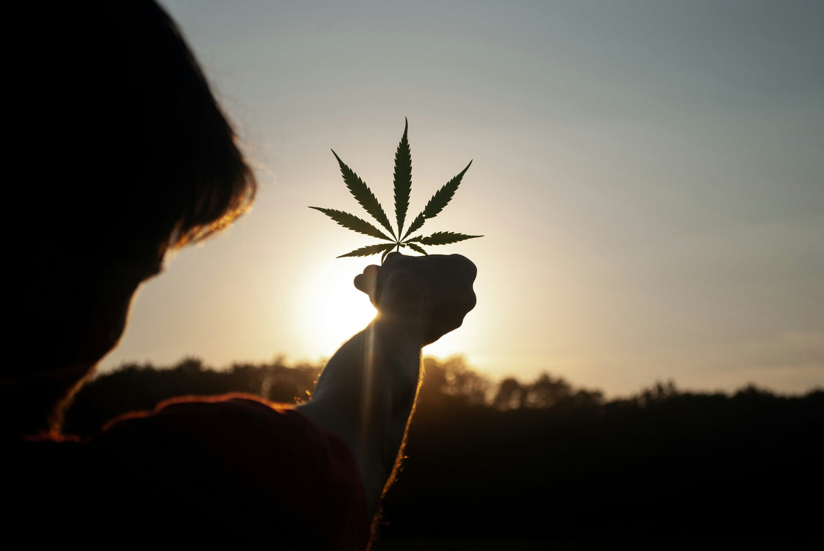 10-OH-HHC-Vape und Gummies neben Dosierungsangaben zur Orientierung für Einsteiger