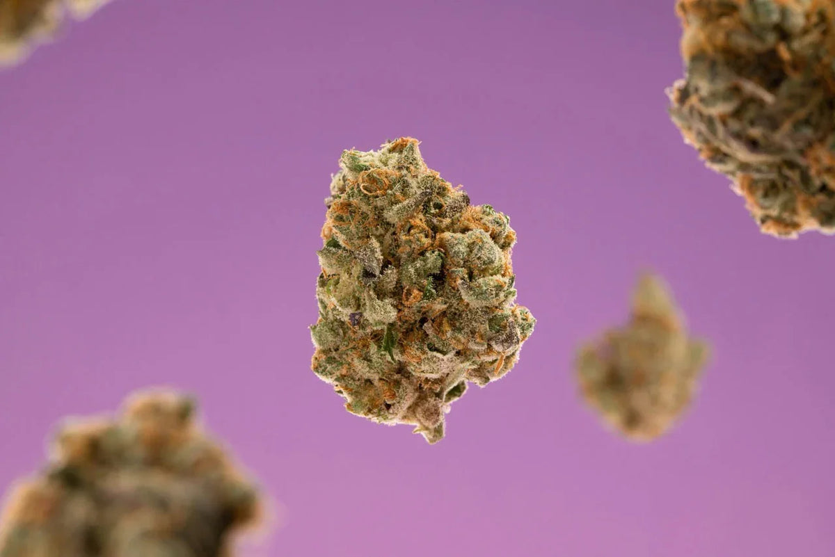 10-OH-THC Molekülstruktur – Erklärung und Unterschiede zu THC