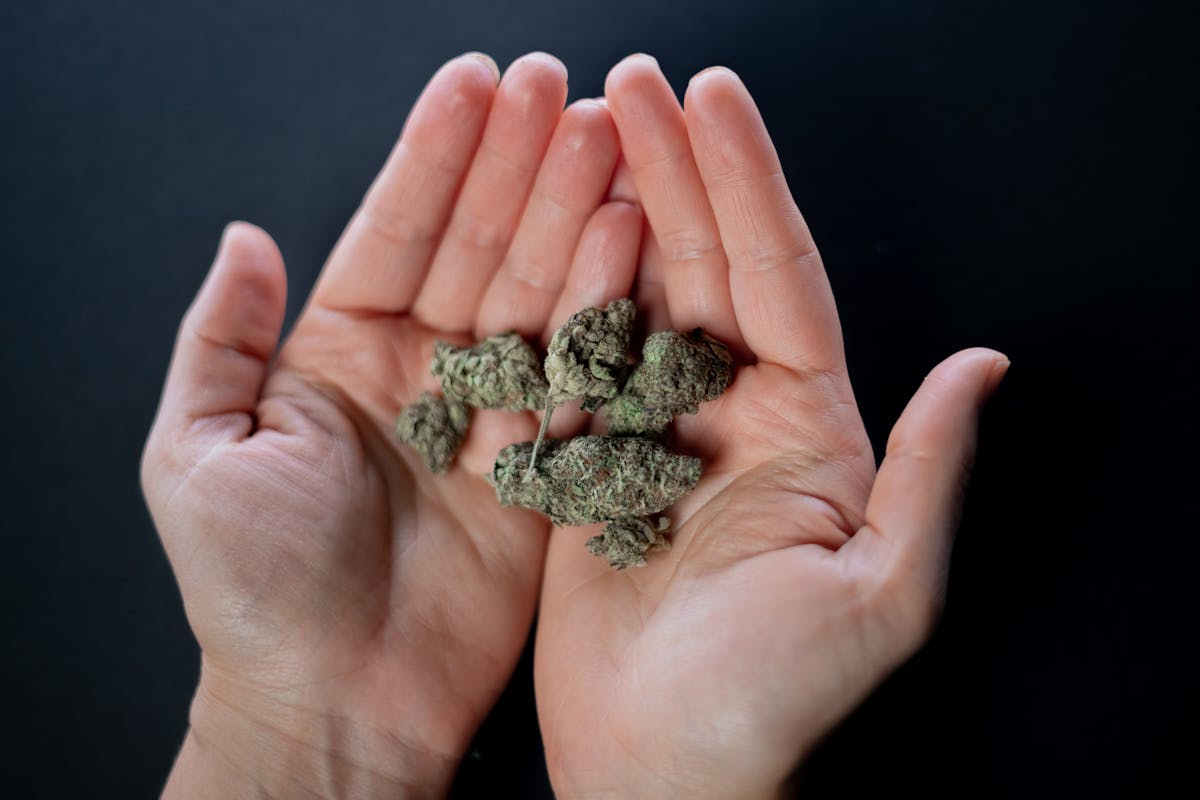 THC Gummies legal kaufen Cannabis Produkte