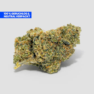 Critical CBD 25 % Blüte