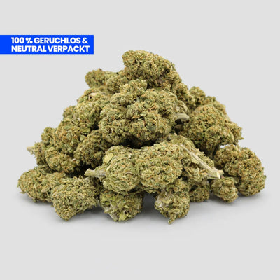 Gelato CBD 35% Blüten