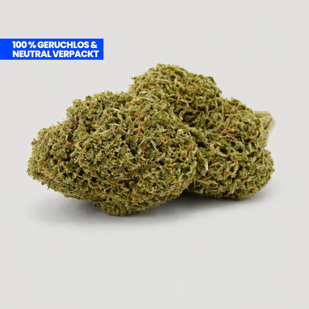 Lemon CBD 25 % Blüte