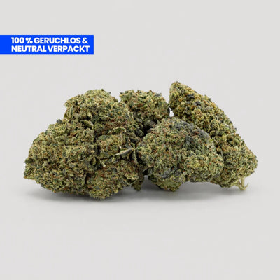 Lemon Haze Blüten