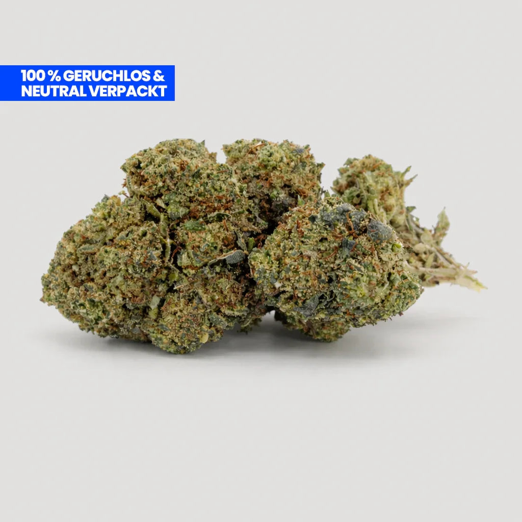 Lemon Haze Blüte