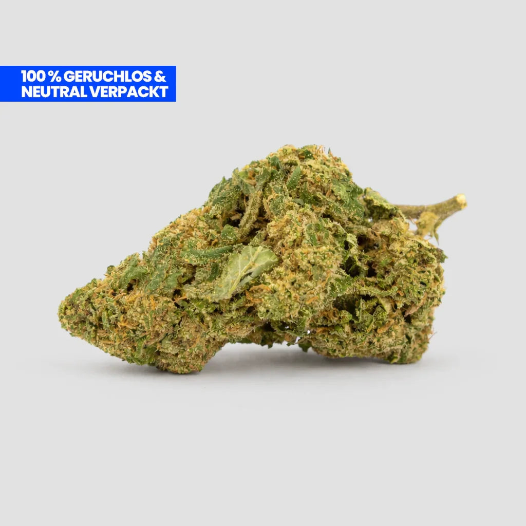 Mimosa CBD 35% Blüte
