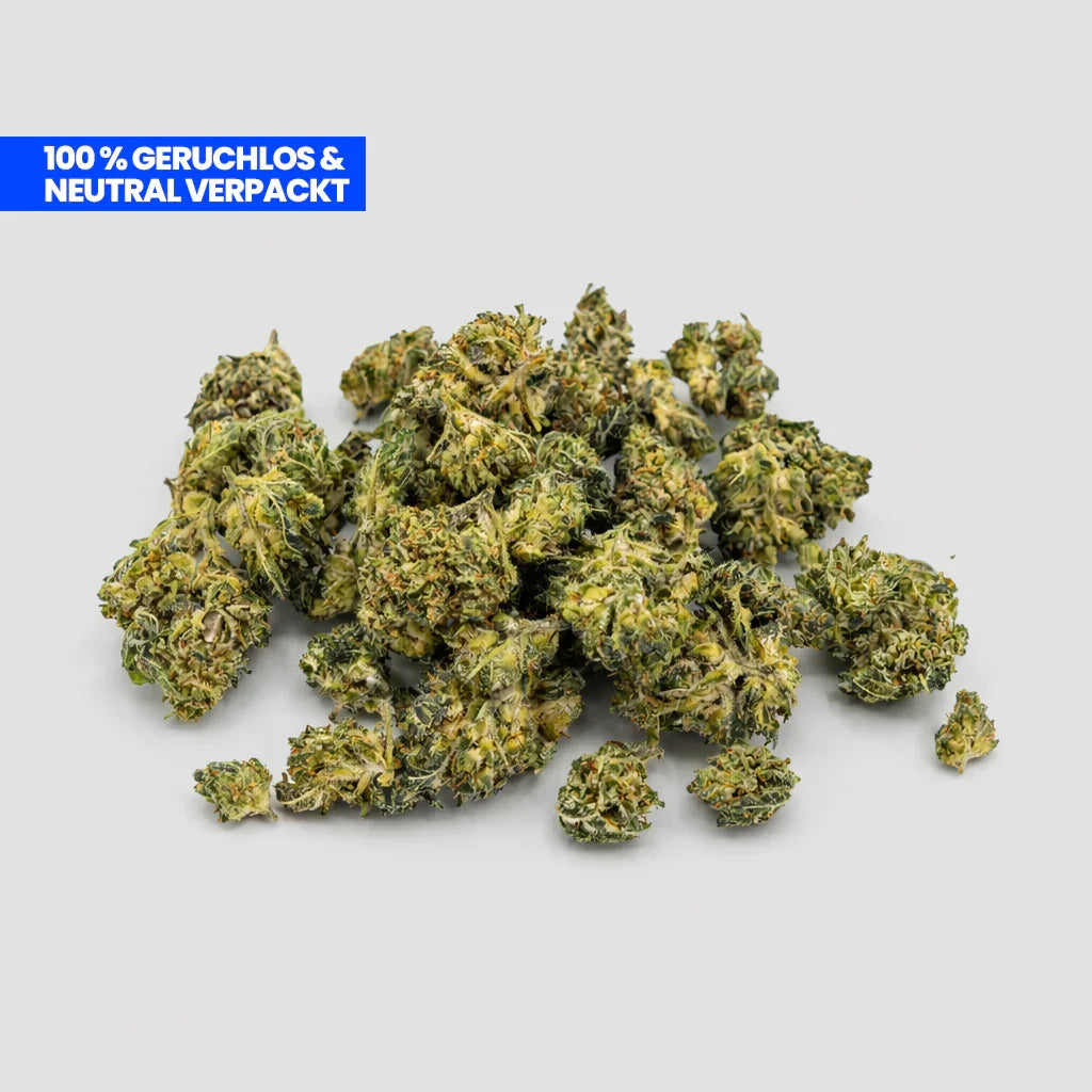 Super Silver Haze Popcorn Blüten