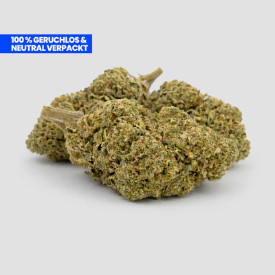 White Widow Ultra CBD 35% Blüten